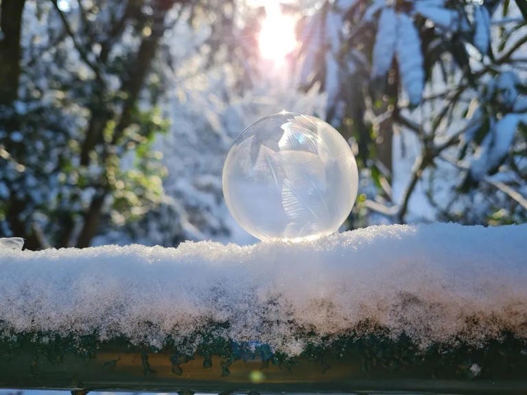 真正活得通透的人，都不计较(图1)