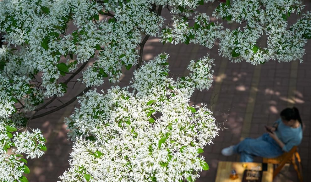 休闲庭院激发消费新活力(图1)