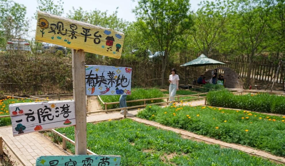 休闲庭院激发消费新活力(图4)