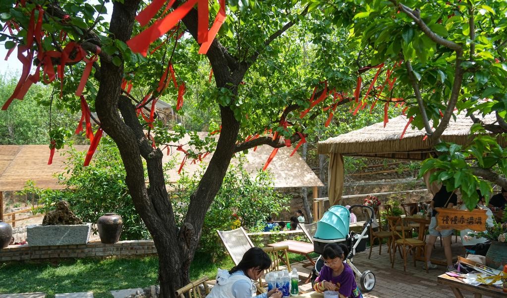 休闲庭院激发消费新活力(图2)