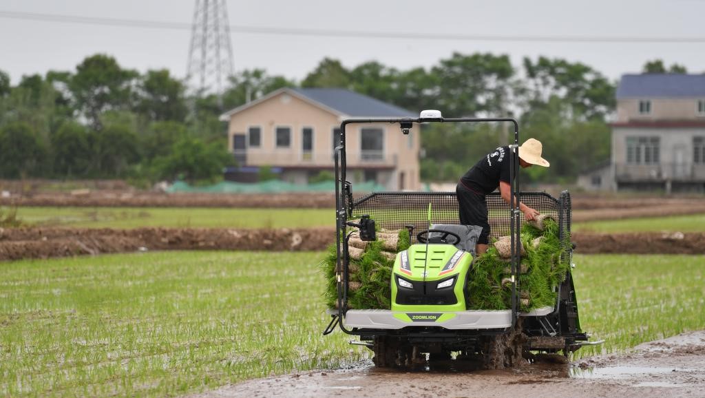 无人驾驶插秧机助力春耕生产(图1)