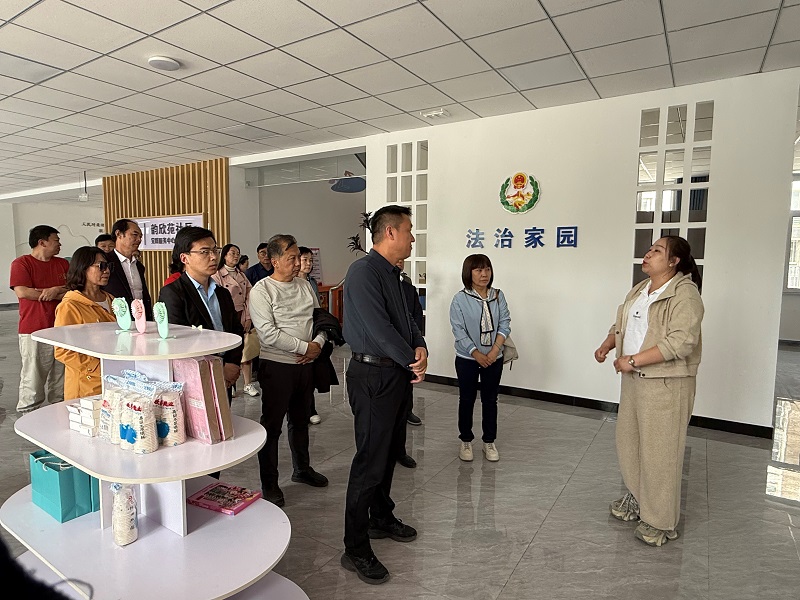 用文艺“点亮”乡村新貌，用文化赋能乡村振兴(图2)