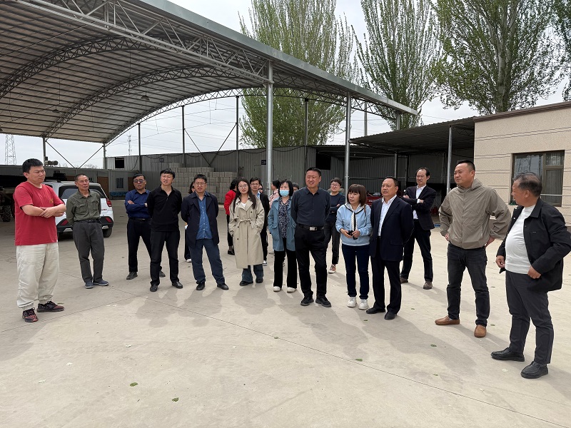 用文艺“点亮”乡村新貌，用文化赋能乡村振兴(图4)