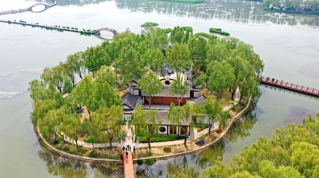 荷花淀派文学馆开馆 雄安新区再添文化名片(图1)