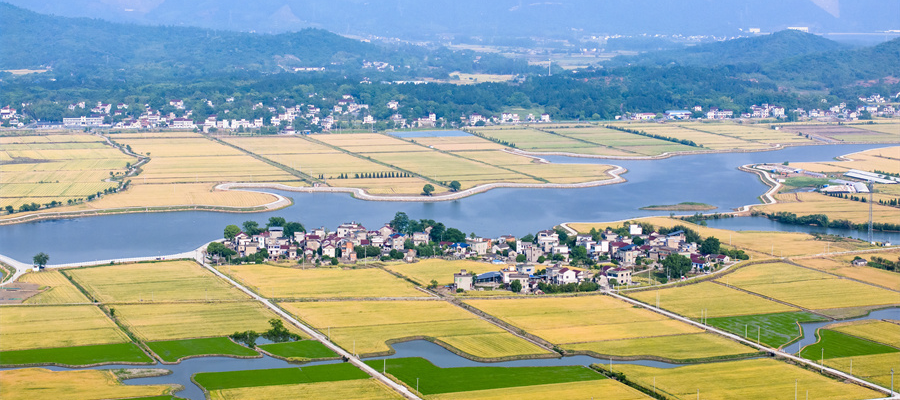风吹麦浪 “丰”景如画(图2)