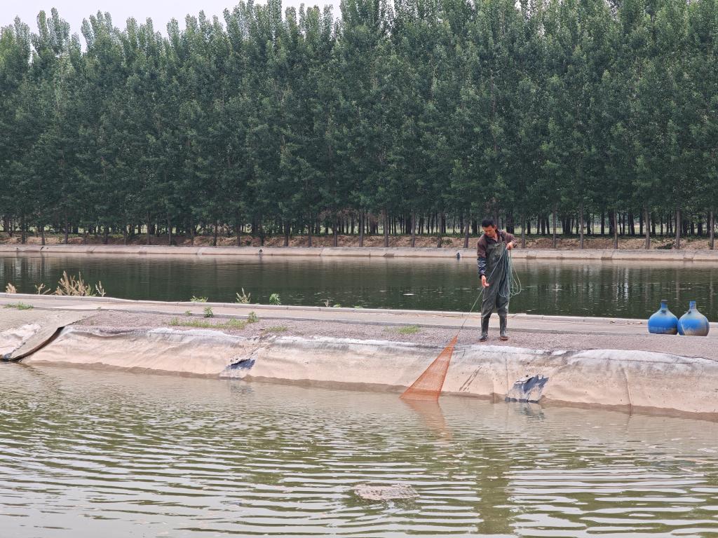 百里黄河畔 乡村展新颜(图1)