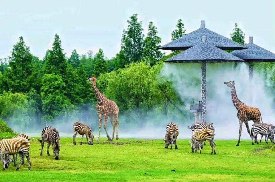 “出片游”点燃文旅新消费