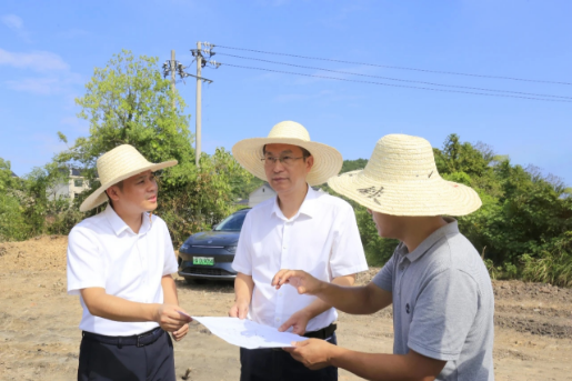 潘表光以“四不两直”方式到朝阳镇调研