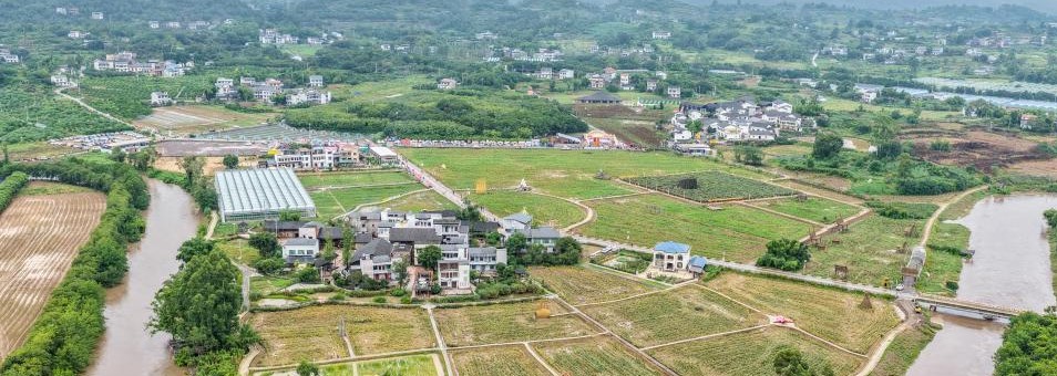 农文旅融合绘就新农村画卷(图2)