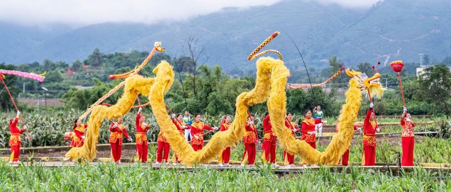 农文旅融合绘就新农村画卷(图1)