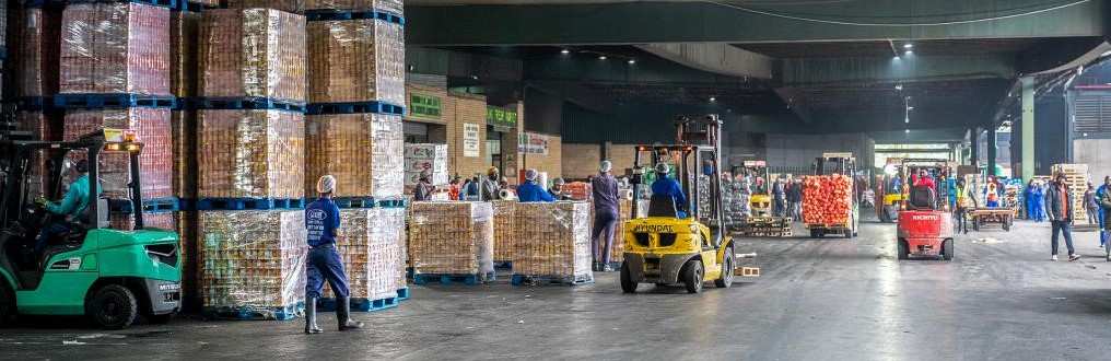 南非果商积极备货向中国出口优质核果(图1)