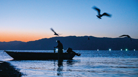 龙羊峡畔的高原“渔光曲”(图1)