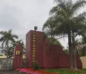 广西来宾糖业转型升级 打造绿色循环产业链