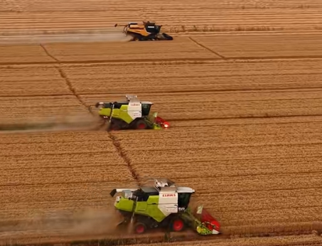 安徽乡村产业迈入“多元业态”新时代 千村升级工程勾勒振兴新图景