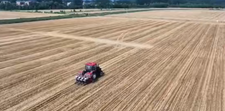 河南小麦播种进度达95% 苗情表现优于预期