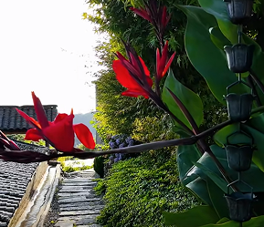 非遗焕新 旅游添彩：三地探索文化传承与经济发展双赢路