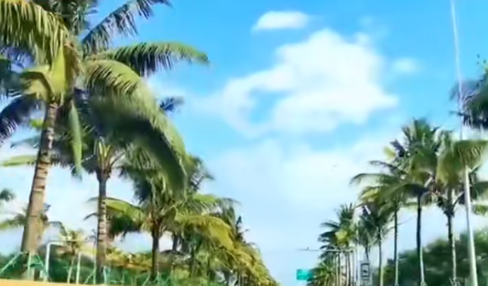 海南自贸港全岛封关在即，全球南方企业迎多重机遇(图1)