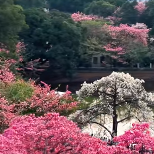 广东上线“乐游广东”文旅地图 助力暖冬消费季