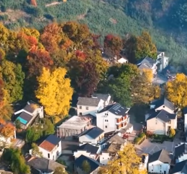 杭州以高质量法治服务赋能创新活力之城建设(图1)