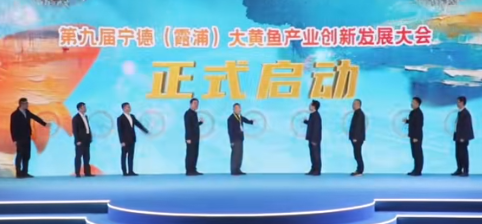 宁德大黄鱼产业创新发展 全链条升级打造"国鱼"品牌(图1)