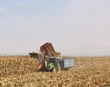 甘肃农业“十四五”成果丰硕：科技赋能粮食稳产增产(图1)