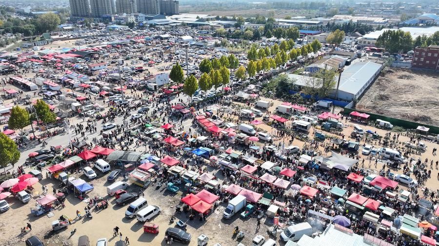 10万人赶曹洼大集，到底在“赶”什么？(图1)