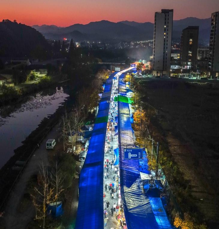 迎新年乡村赶大集(图2)