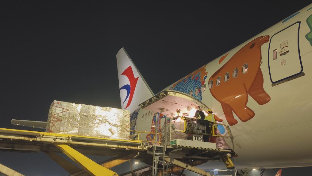 东航全球最长单程航线首个航班回程 中拉“生鲜速运”再添新通道(图1)